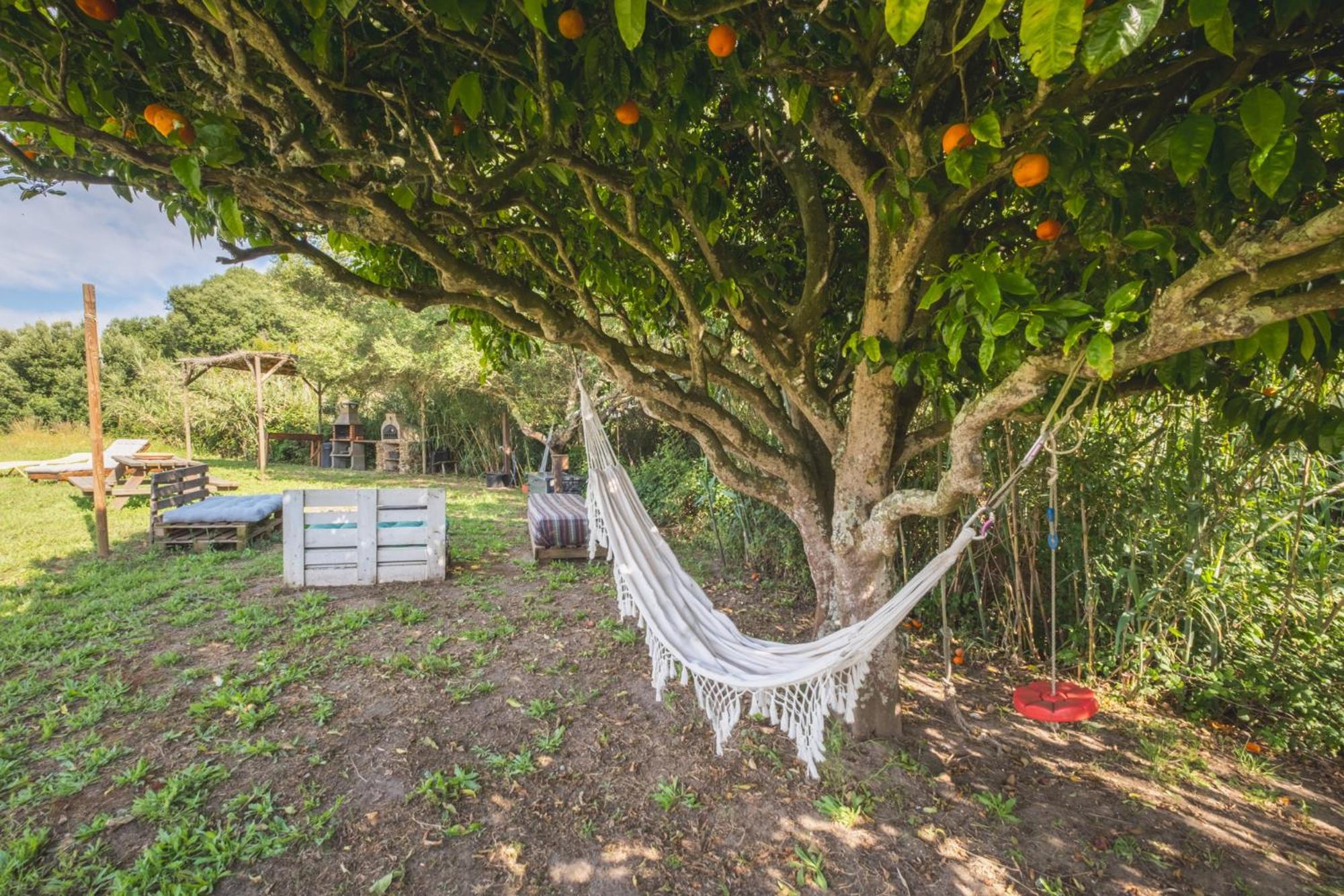 Ruralcamomo Villa Cádiz Buitenkant foto