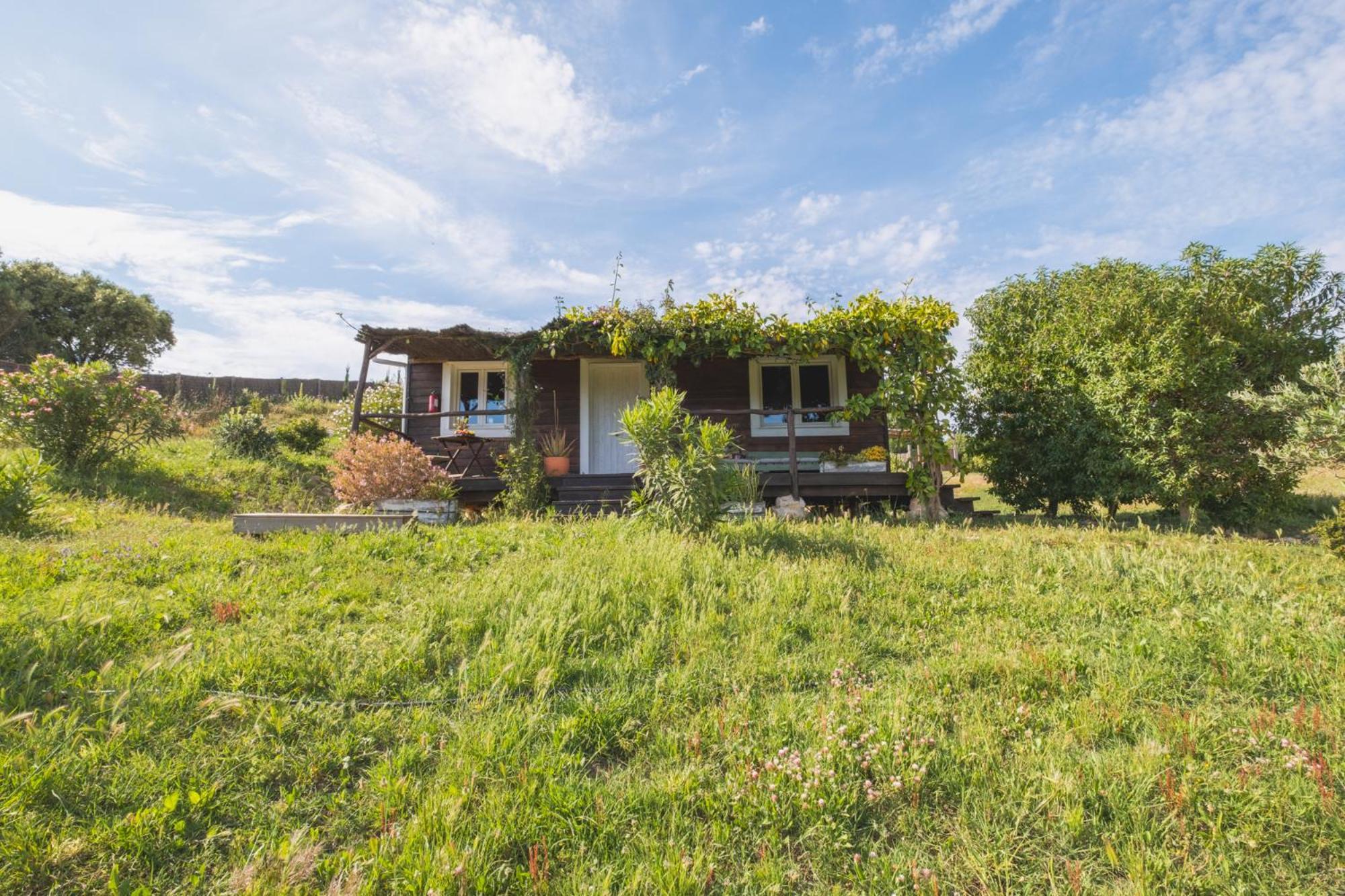Ruralcamomo Villa Cádiz Buitenkant foto