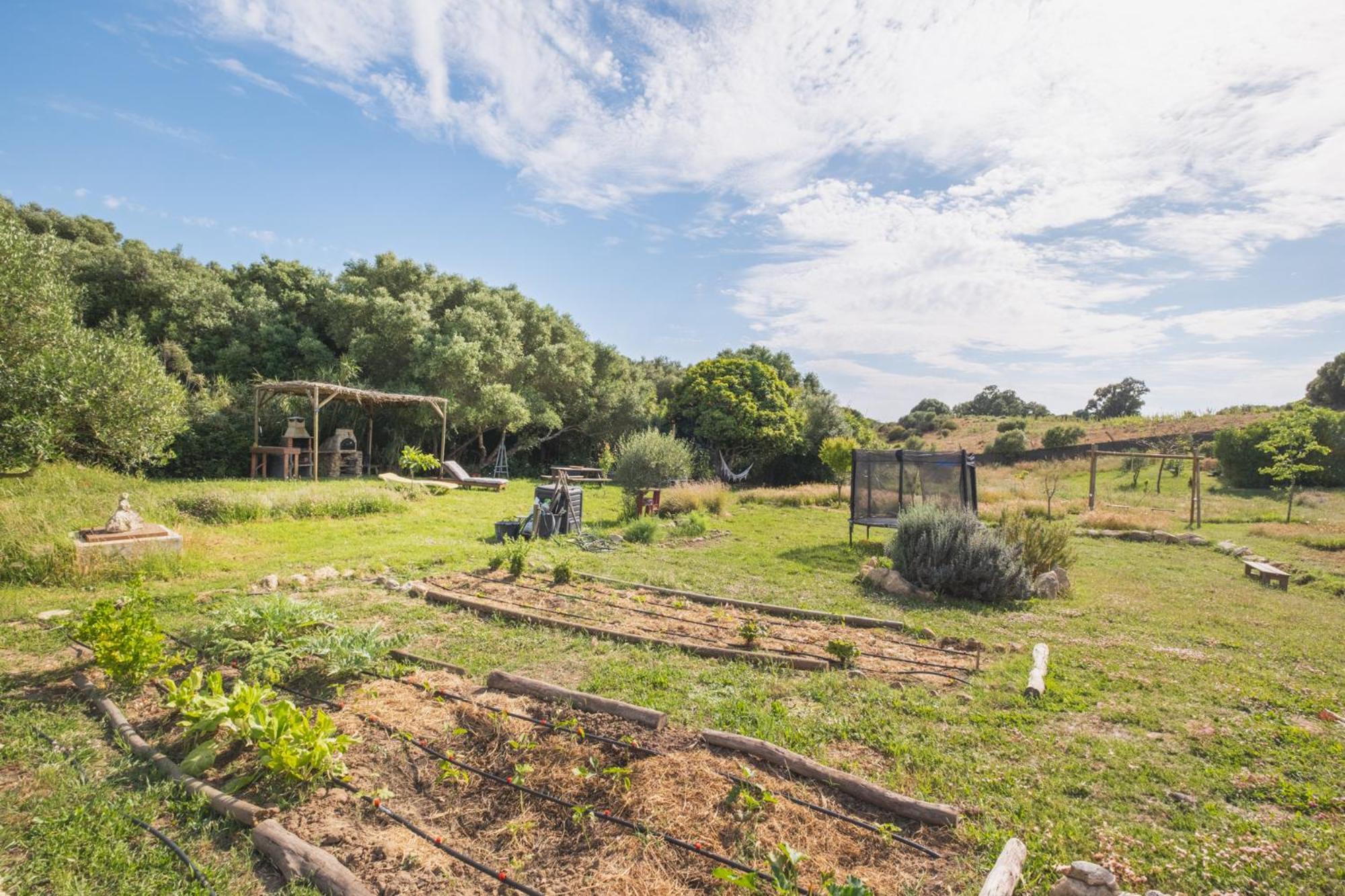 Ruralcamomo Villa Cádiz Buitenkant foto